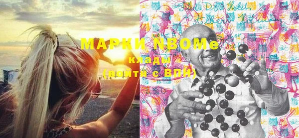 стаф Коряжма