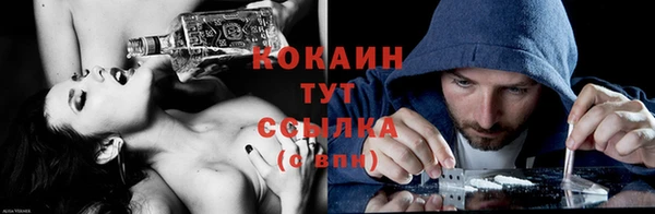 стаф Коряжма