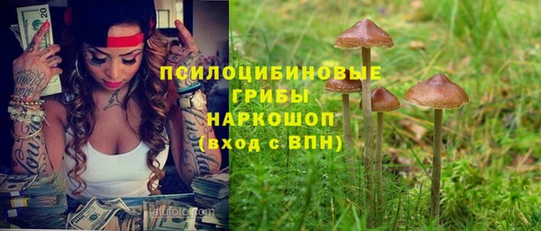 дживик Корсаков