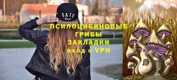 марки lsd Краснослободск