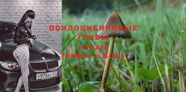 стаф Коряжма