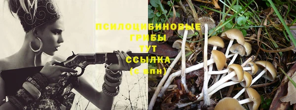каннабис Краснотурьинск
