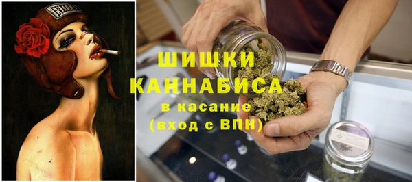 дживик Корсаков
