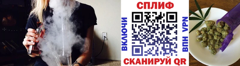 Бошки Шишки MAZAR  Колпашево 